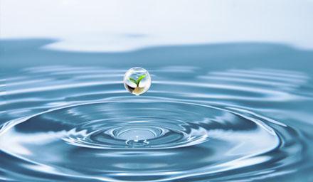 喜報 | 海星股份成功獲評“江蘇省節(jié)水型企業(yè)”！