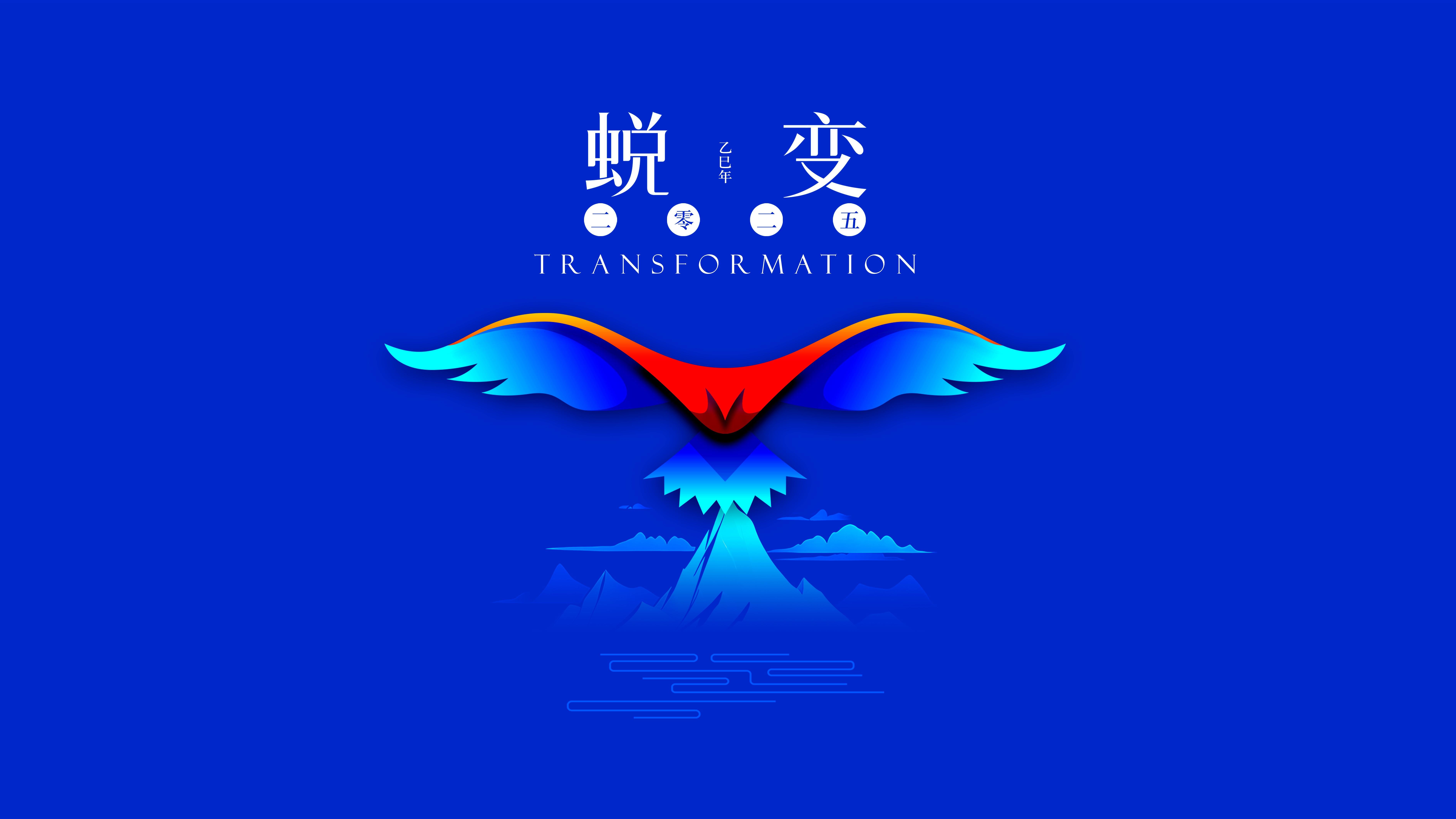 我與海星的2024，期待2025年與您一起續(xù)寫美好篇章